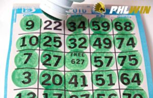 Merong kulay berde na marka ang mga numero ang card ng bingo na umaamba pa na markahan ang isang natitirang number na "22" upang maka kuha ng "Bingo" para manalo.